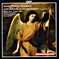 Georg Philipp Telemann Cantatas / cpo