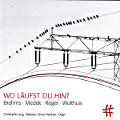 Wo Läufst Du Hin?, Brahms • Medek • Reger • Wolthuis / PASCHENrecords Wo Läufst Du Hin?, Brahms • Medek • Reger • Wolthuis / PASCHENrecords