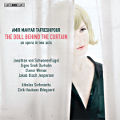 Amir Mahyar Tafreshipour, The doll Behind The Curtain