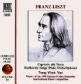 Liszt – Die gesamte Klaviermusik Vol. 17 / Naxos