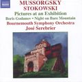 Leopold Stokowski Symphonic Transcriptions / Naxos