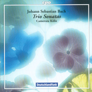 Johann Sebastian Bach Trio Sonatas / cpo Johann Sebastian Bach Trio Sonatas / cpo