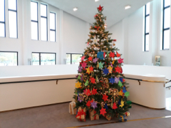 Alto-Wunschbaum, Foto: TUP