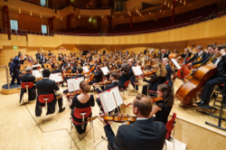 Essener Philharmoniker, Foto: Volker Wiciok